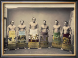 Sumo Posters by Shashin 