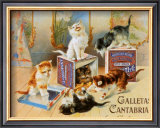 Calletas Cantabria Prints