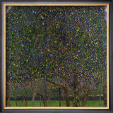 Pear Tree Framed Giclee Print by Gustav Klimt
