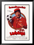 Ladybugs Posters