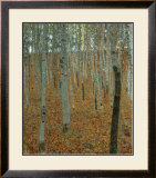 Forest of Beech Trees Prints by Gustav Klimt