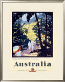 Australia Queensland Rain Forest Framed Giclee Print