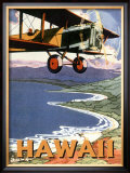Hawaii, Sight Seeing by Air Framed Giclee Print