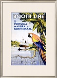 Booth Ocean Lines to Portugal Framed Giclee Print