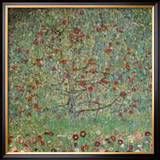 Il Melo Prints by Gustav Klimt