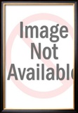 Niagara Posters