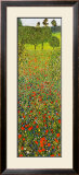 Campo Di Papaveri Prints by Gustav Klimt