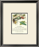 Cucumber Prints by James 