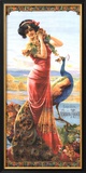 Cordial-Medoc Framed Giclee Print by Gaspar Camps