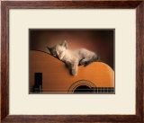 Sleeping Soundly Posters por Xavier Chantrenne Sleeping Soundly Posters por Xavier Chantrenne
