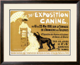 36th Exposition Canine de Briard Framed Giclee Print by Edouard Doigneau