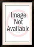 Canadian Pacific Railroad Train Framed Giclee Print