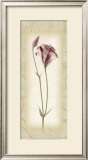 Blossom I, Lisianthus Art by Donna Geissler