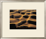 Dromadaires I Prints by Yann Arthus-Bertrand