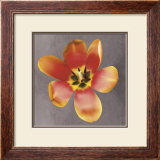 Sunshine Tulip Prints by Erin Clark Sunshine Tulip Prints by Erin Clark
