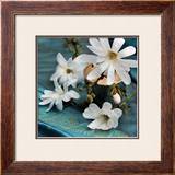 Magnolia Posters by Catherine Beyler