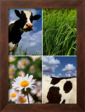 Pastoral Cow Prints by Panais & Morcime Dumoulin