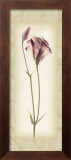 Blossom I, Lisianthus Prints by Donna Geissler