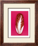Radicchio, 2001 Prints by Kit 