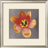 Sunshine Tulip Prints by Erin Clark Sunshine Tulip Prints by Erin Clark