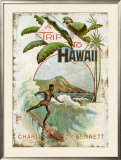 A Trip to Hawaii Framed Giclee Print