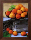 Les Abricots Print by Dominque Zintzmeyer