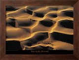 Dromadaires I Art by Yann Arthus-Bertrand