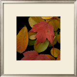 Vivid Leaves III Prints