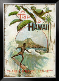 A Trip to Hawaii Framed Giclee Print