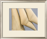 Windward I Print by Frederick J. LeBlanc