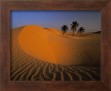 Algerie Poster by Philippe Bourseiller