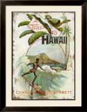 A Trip to Hawaii Framed Giclee Print