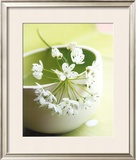Little Flowers Póster por Amelie Vuillon Little Flowers Póster por Amelie Vuillon