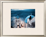 Chat en Grece Prints by Hans Silvester