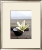 Yucca Flower Prints by Amelie Vuillon
