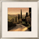 Country Lane, Tuscany Prints by Elizabeth Carmel