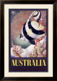 Australia Great Barrier Reef Framed Giclee Print by Mayo 