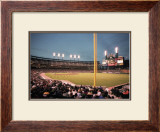 Comerica Park, Detroit Prints by Ira Rosen