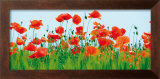 Poppy Fields Prints by Jan Lens