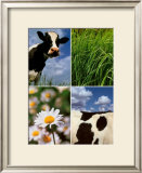 Pastoral Cow Prints by Panais & Morcime Dumoulin