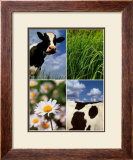 Pastoral Cow Prints by Panais & Morcime Dumoulin