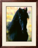 Unknown Framed Giclee Print by Mark Barrett