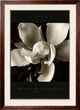 The Unfolding III Prints by Christine Elizabeth
