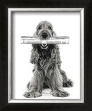 Dog News Poster by Jean-Michel Labat