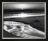 Birds on a Beach Posters by Ansel Adams