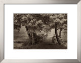 The Old Bridge Prints by Igor Svibilsky