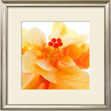 Bolero Poster by Ingrid Ulmer