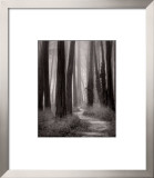 Winding Path, San Francisco Poster por William Scott
