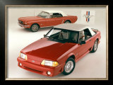 Ford Mustang Convertibles Framed Giclee Print