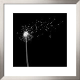 Into the Night II Prints by Jim Wehtje